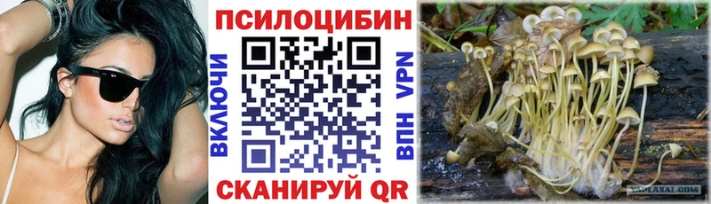 Псилоцибиновые грибы Cubensis  Купить  Нефтеюганск 